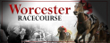 Pershore Plum Festival at Worcester Racecourse