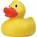 St David's Hospice Duck Race 