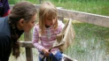 Pond dipping