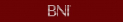 BNI Shoreham Crest 