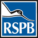 RSPB Talk - Texas (From the Gulf to the Rio Grande)