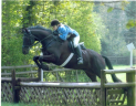 Cross Country & Show Jumping Schooling at Durham's Farm - Fridays fortnightly