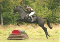 Hunter Trial at Durham's Farm Riding School & Livery Yard on 2nd June