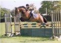 Show Jumping - Table A - Fortnightly at Durham's Farm Riding School