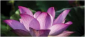 Meditation for Inner Peace at The Letchworth Centre for Healthy Living