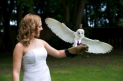 Young Falconers Club