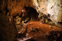 Clearwell Caves