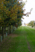Trees and Events Discovery Walk at the NMA, Alrewas