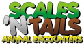 Animal Encounters & Petting