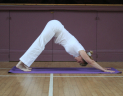 Integral Yoga Classes