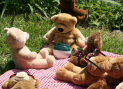 Little Stags Teddy Bears Picnic