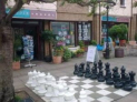 Weekend Chess Classes!