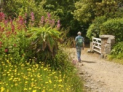 SARK FLORAL WALKS/LA SEIGNEURIE GARDEN TOURS