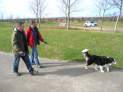 Waggy Woodland Walk