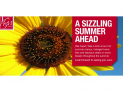 BIG VALUE SUMMER LUNCH AND EARLY BIRD AT LA GRANDE MARE HOTEL
