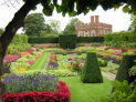 Hampton Court Flower Show 2013
