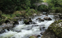 Summer Solstice Walk - with Anne Murray