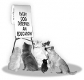 Dog and Puppy Training Classes with Bark-n-Ride, Bury