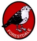 Forestdale Primary School Summer Fair