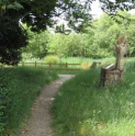 Nature Ramble at Roundshaw Downs LNR - Sutton Ecology Centre activity