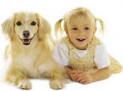 The 2nd Great Arno Doggy Treasure Hunt & Fun Day