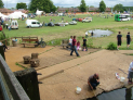 Lark in the Park