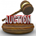 CHARITY AUCTION ANGLESEY ARMS WINSHILL