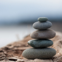 Tai Chi Qigong Workshop