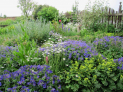Open Garden