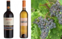 Wine Tasting evening - 26th July