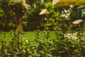 landscape gardeners Bury