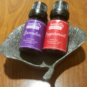 Wellness and Well-being