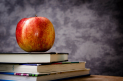 Educational Services