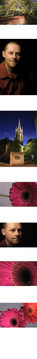 media-image