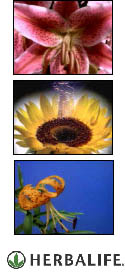 media-image