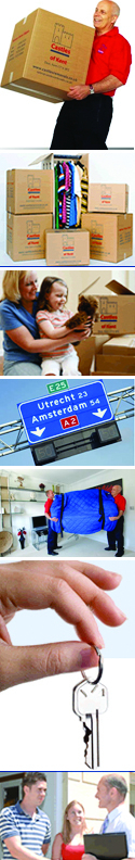media-image
