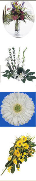 media-image