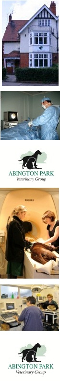 abington park vets