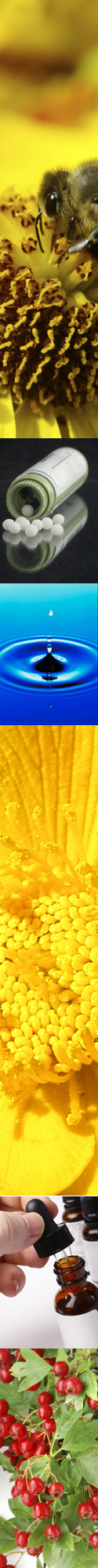 media-image