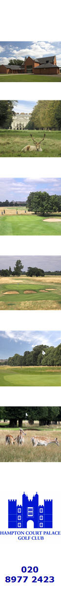 media-image