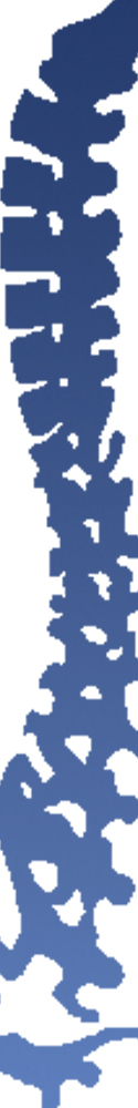 media-image