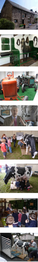 media-image