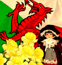 St David's Day 2014 Gala