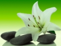 media-image