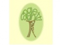 media-image