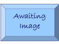 media-image