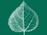 media-image
