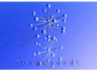 media-image