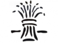 media-image