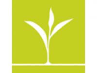media-image